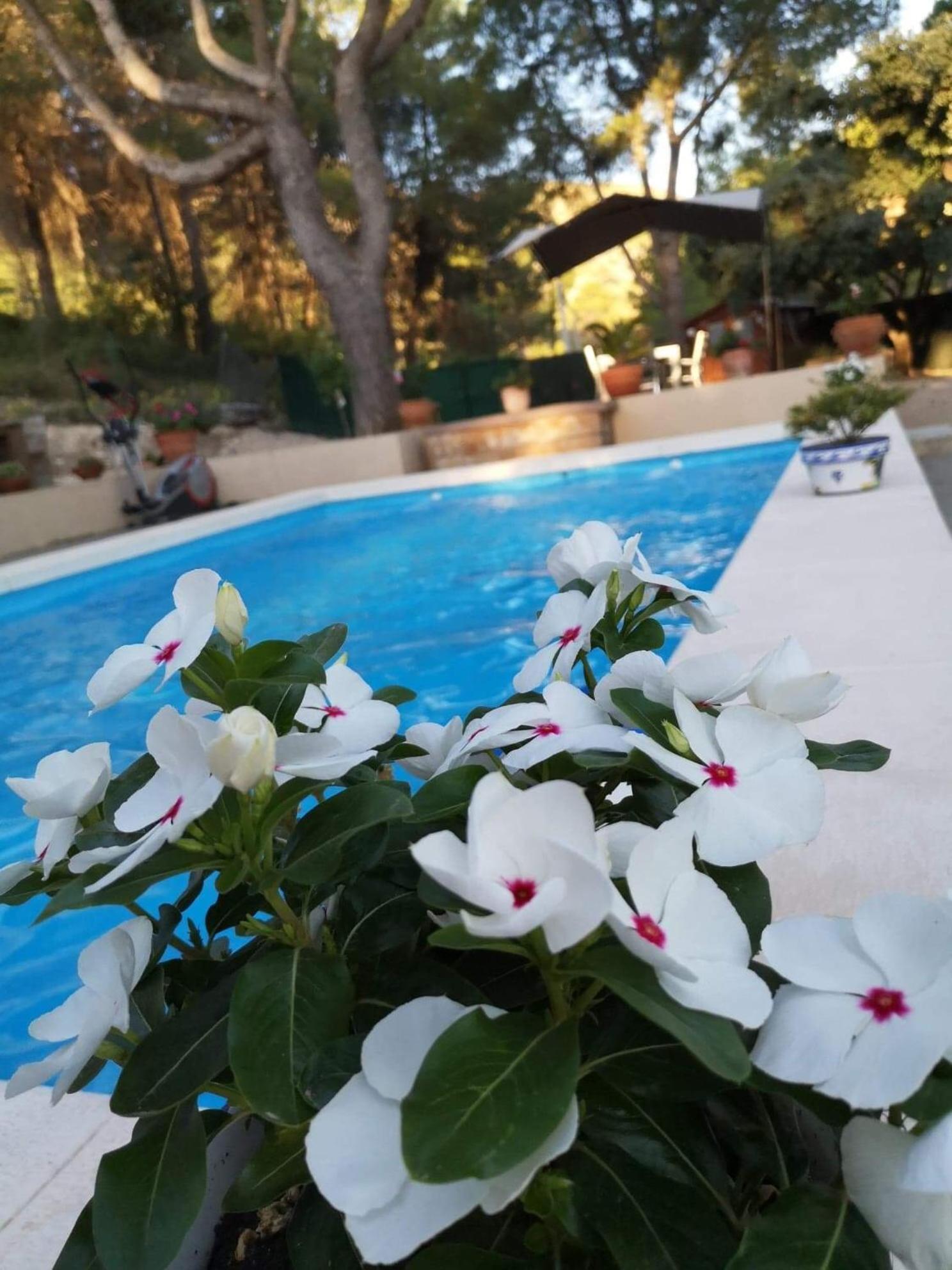 Bed and Breakfast Casa Jetizo Ontinyent Zewnętrze zdjęcie