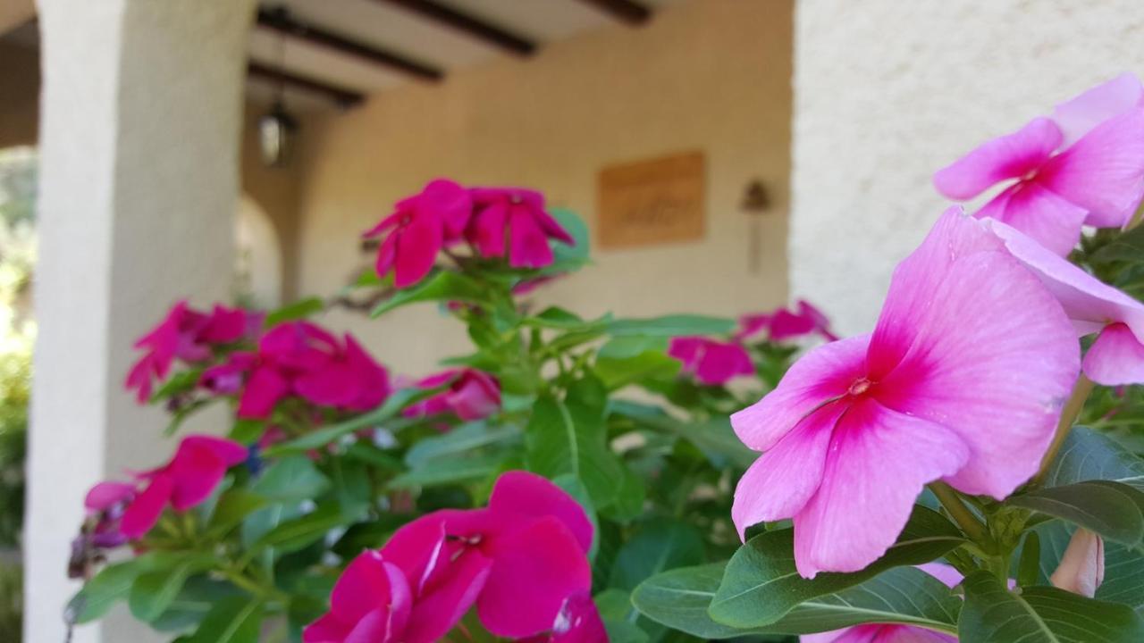 Bed and Breakfast Casa Jetizo Ontinyent Zewnętrze zdjęcie