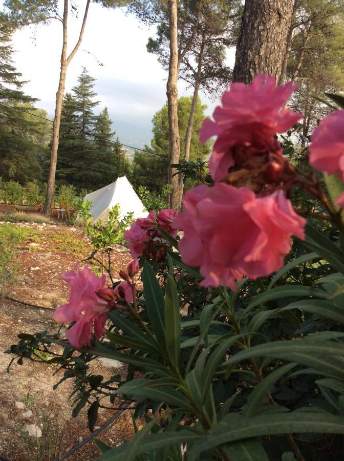 Bed and Breakfast Casa Jetizo Ontinyent Zewnętrze zdjęcie