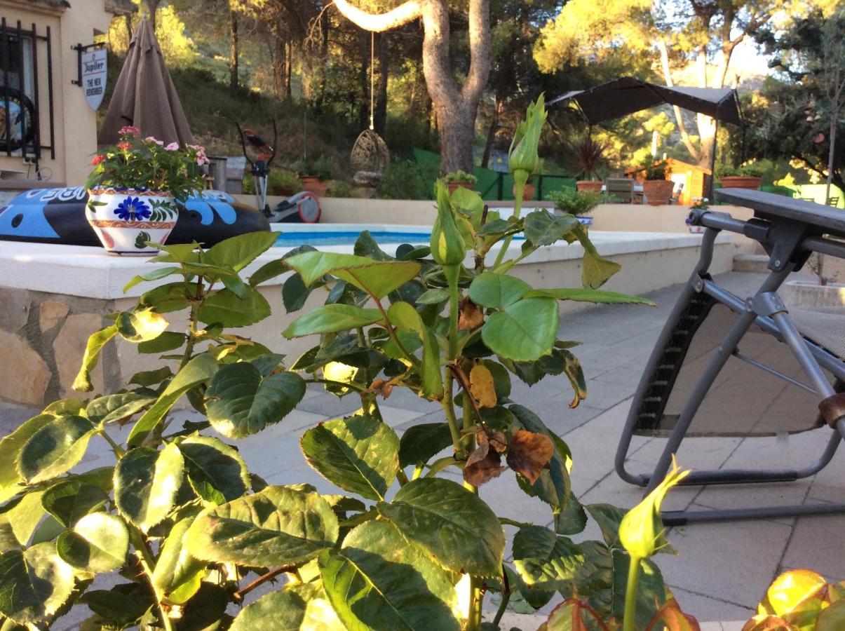 Bed and Breakfast Casa Jetizo Ontinyent Zewnętrze zdjęcie