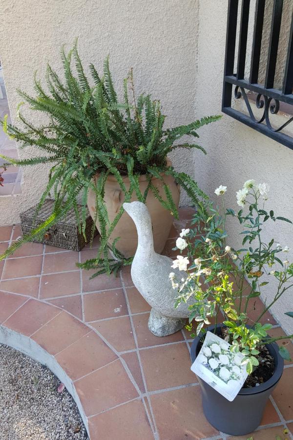 Bed and Breakfast Casa Jetizo Ontinyent Zewnętrze zdjęcie