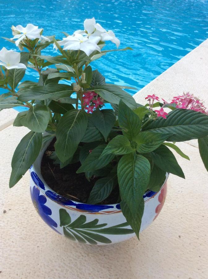 Bed and Breakfast Casa Jetizo Ontinyent Zewnętrze zdjęcie