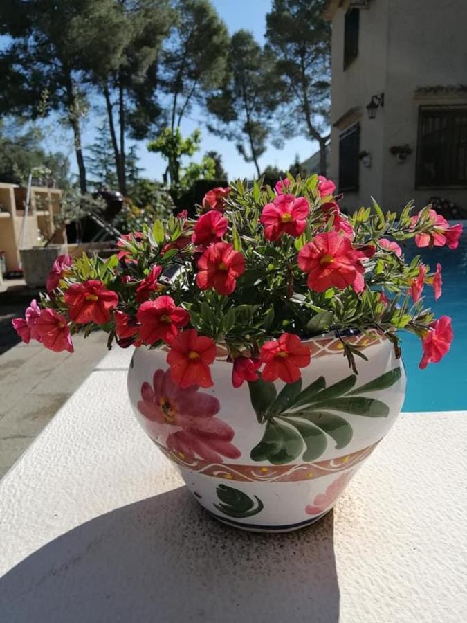 Bed and Breakfast Casa Jetizo Ontinyent Zewnętrze zdjęcie